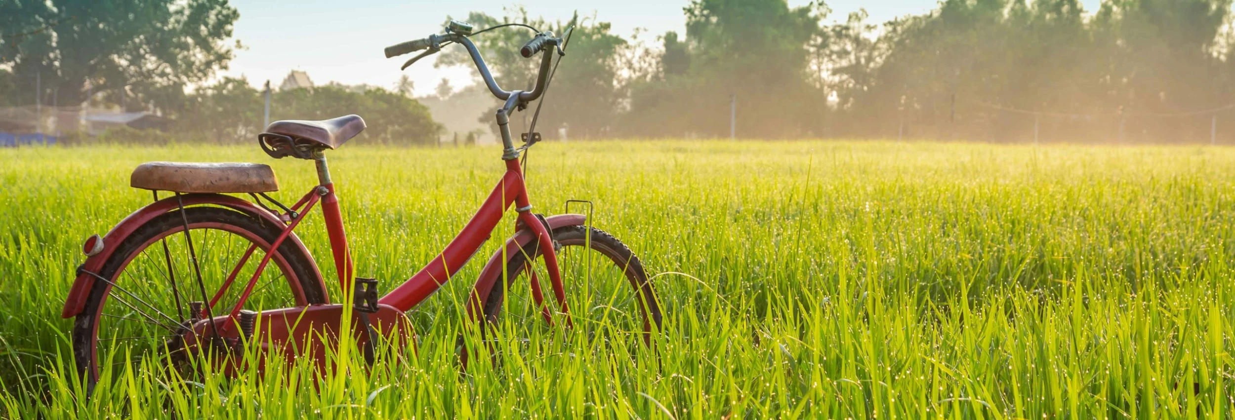 Magasin De Vélo -Magasin De Vélo banner scaled